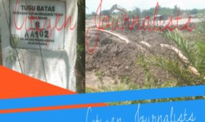 Tambang Timah Ilegal