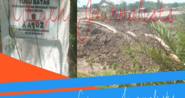 Tambang Timah Ilegal