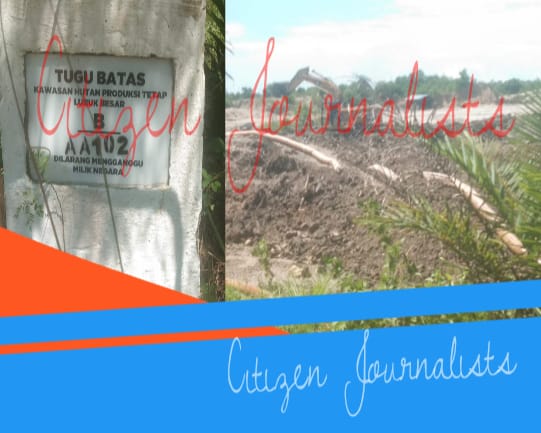 Tambang Timah Ilegal