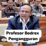Dewan Pers