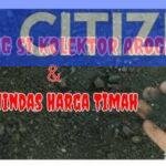 Kolektor Timah ilegal