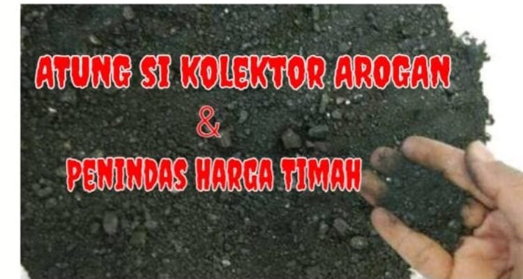 Kolektor Timah ilegal