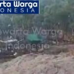 Tambang Ilegal dan Perambahan Hutan Bakau