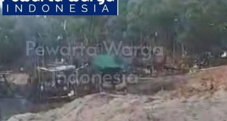 Tambang Ilegal dan Perambahan Hutan Bakau
