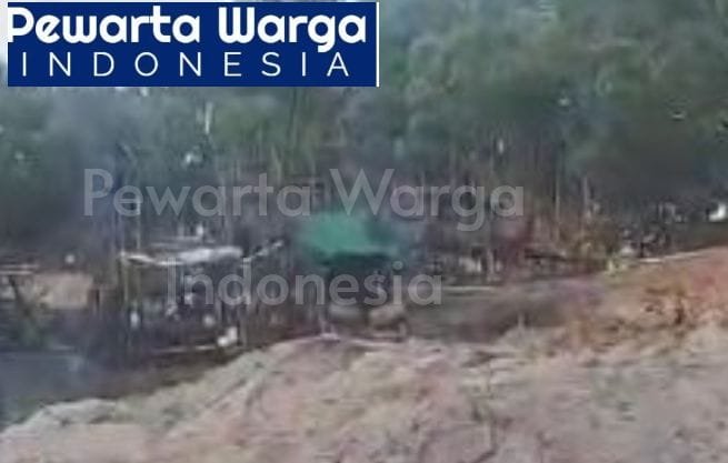 Tambang Ilegal dan Perambahan Hutan Bakau